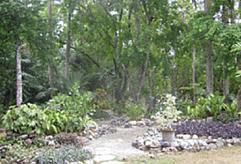 Jardín Botánico de Villa Clara cumplió 55 años